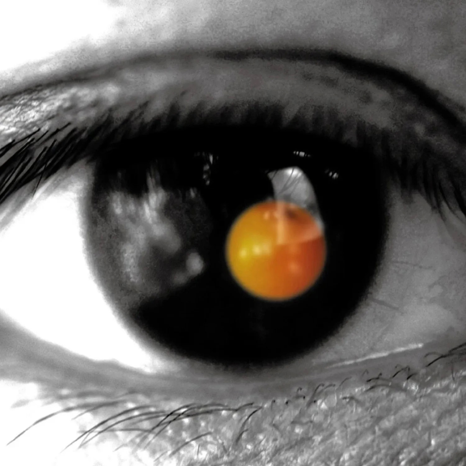 Cpop (华语流行）